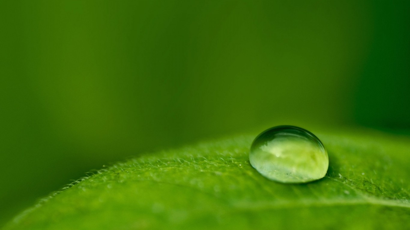 Macro-big-drop-of-water-on-a-green-leaf-nature-wallpaper_1366x768
